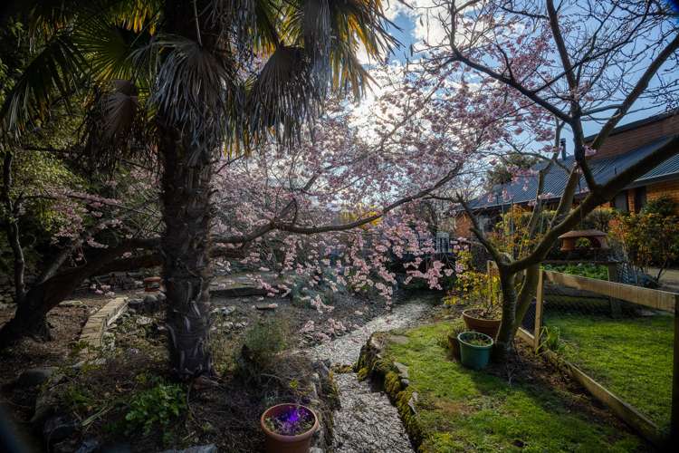 7 Redwood Lane Wanaka_28