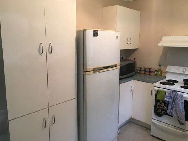 31a Peach Road Glenfield_3