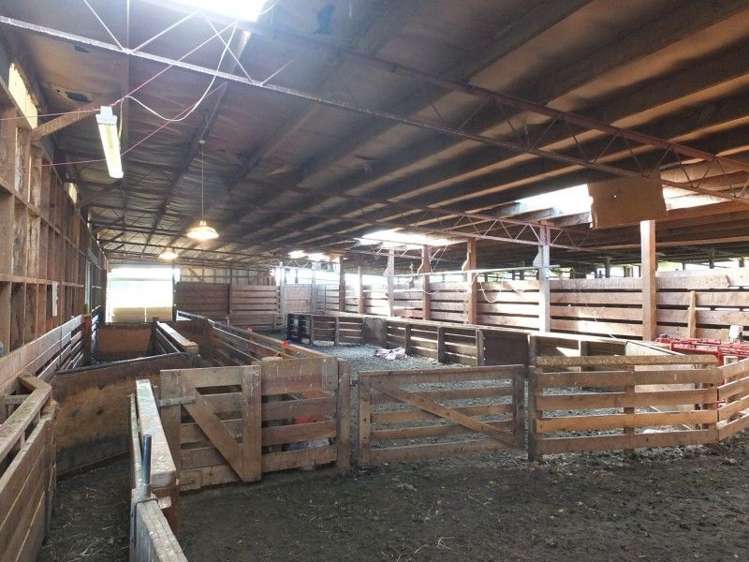 879 Clifden Highway Tuatapere_10