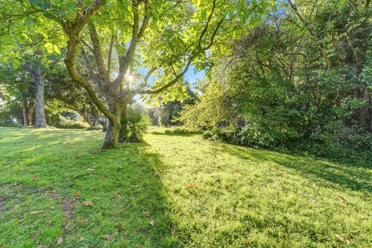 155 Nile Street Nelson City_14