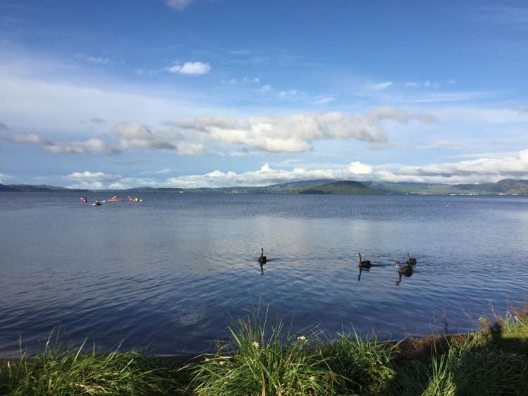 113 Koutu Road Kawaha Point_31