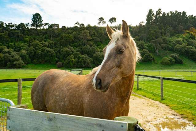 51 Manukawiri Way Martinborough_4