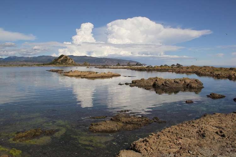 354 The Esplanade Island Bay_18