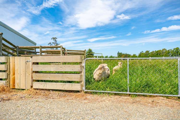 8 Arowhenua Station Road Kerrytown_26