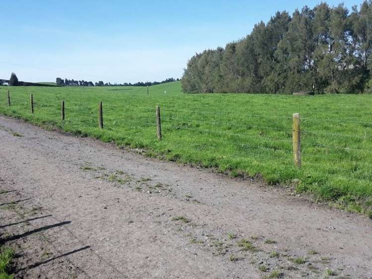 346 Rugby Road Tariki_7