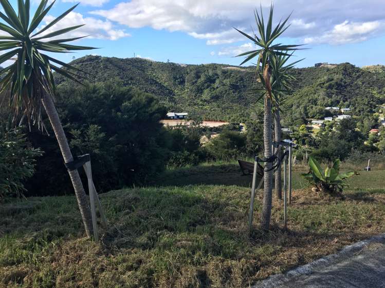 77 Cullen Street Mangawhai Heads_3