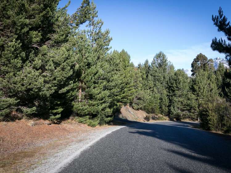 132 Alpine Retreat Road Ben Lomond_9