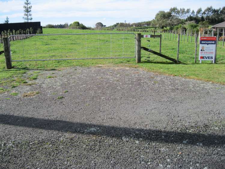 41 Leyland Road Whakamarama_1