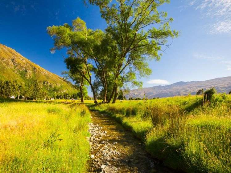 50 Oxford Street Kingston_6