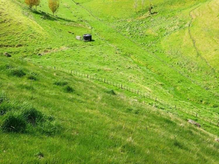 Whakapirau Road Maraekakaho_5