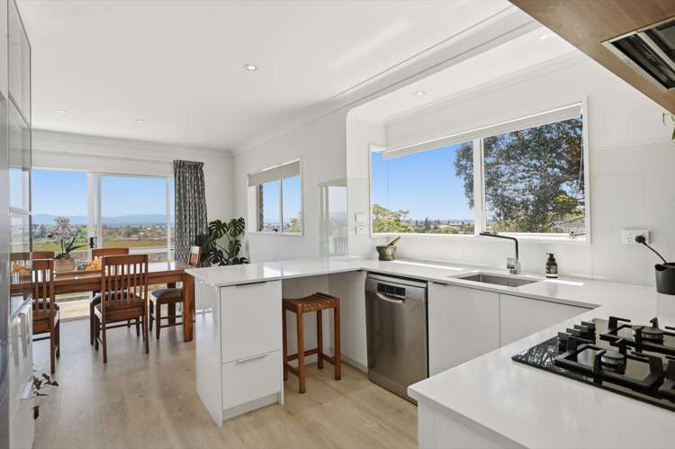 31 Carlton Street Bellevue_15
