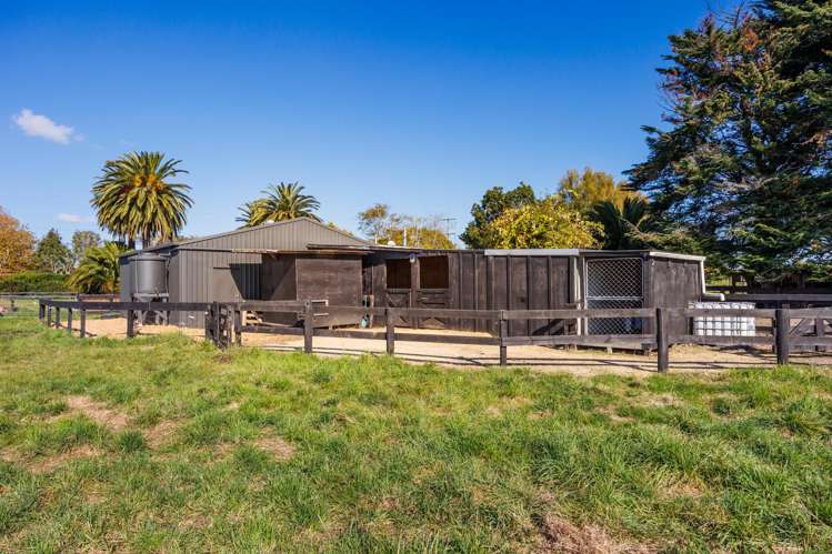 292 Kairanga Bunnythorpe Road Bunnythorpe_44