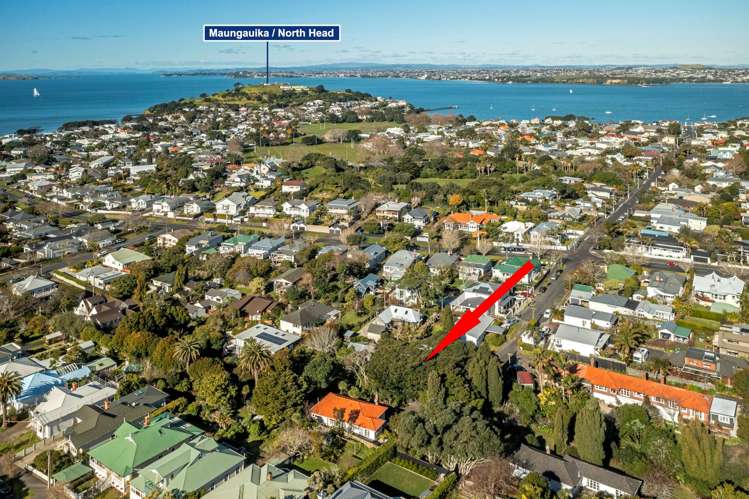 1/6 Everest Street Devonport_25