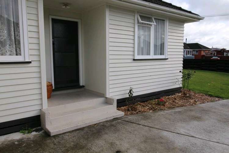 20 Ward Street Bulls_33