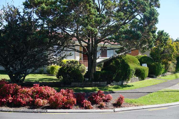 1 Maple Avenue Dinsdale_14