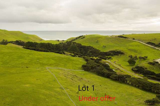 1549 Whaanga Road Raglan_3