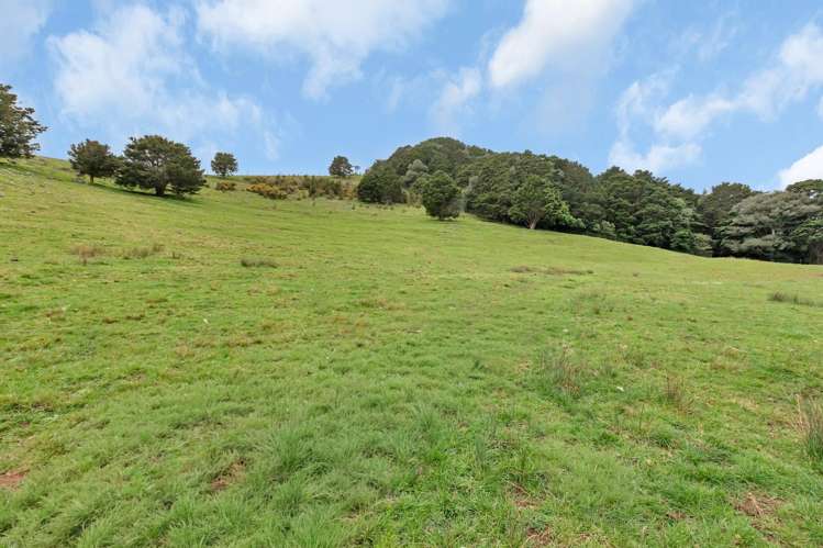 Lot 1, 106 Totara Park Lane Glenbervie_11