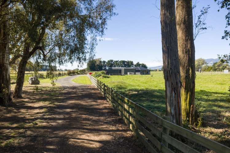 1373 Colyton Road Ashhurst_19