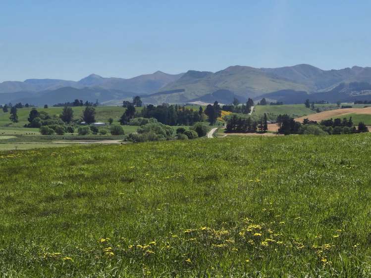 116 Burraness Street Palmerston_11