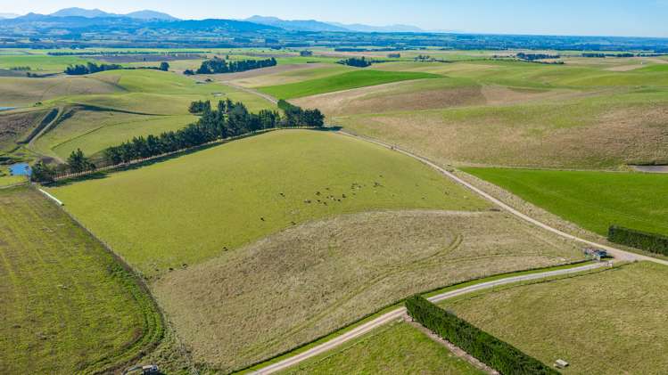 160 Esler Road Pleasant Point_6