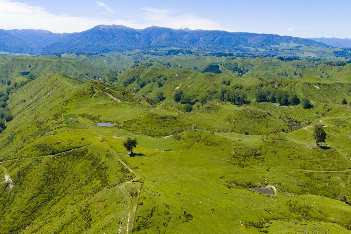 1691 Kawhatau Valley Road_5