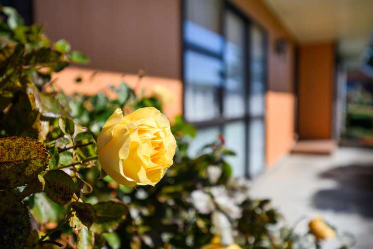 22 Virginia Crescent Feilding_16