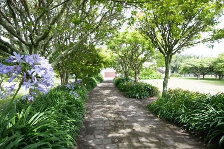 491a Bruntwood Road Tamahere_17