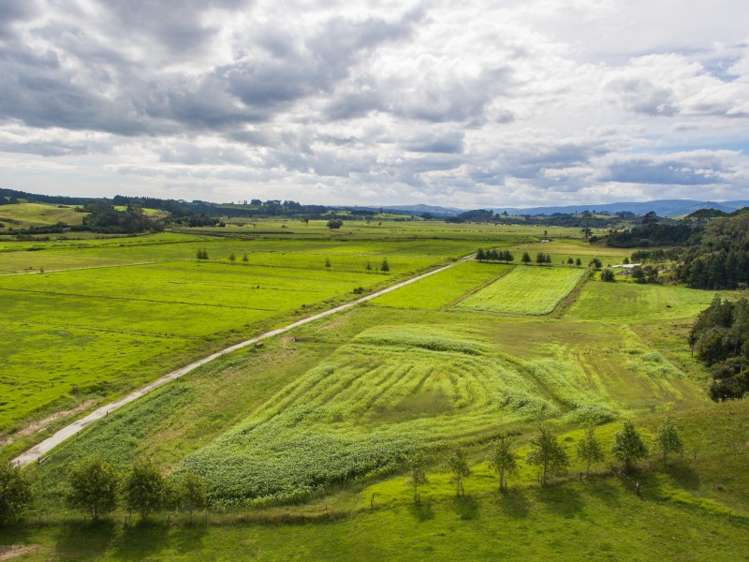 245 Opanake Road Dargaville Surrounds_22