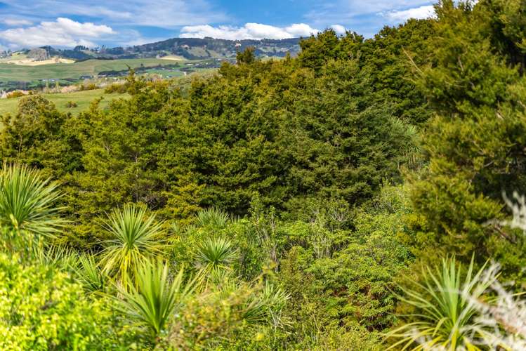 2/115 Lawrence Road Mangawhai_10