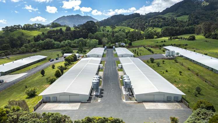 Address withheld Waikato_23