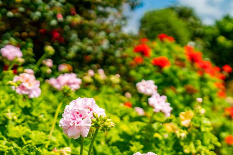 52 Vista Lane Kaiwaka_27