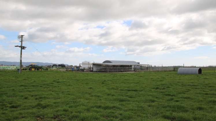 98 Mccracken Road Edgecumbe_10