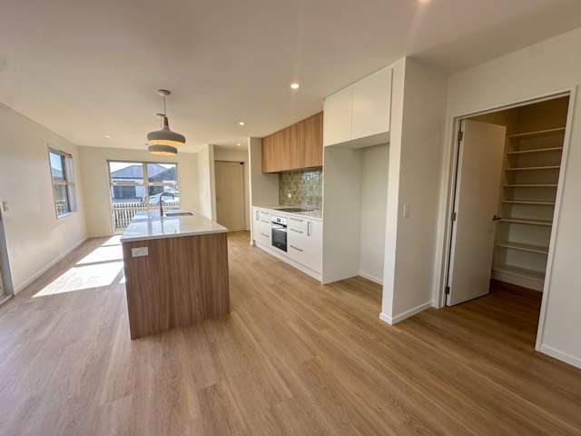 Brand New Rolleston Home!