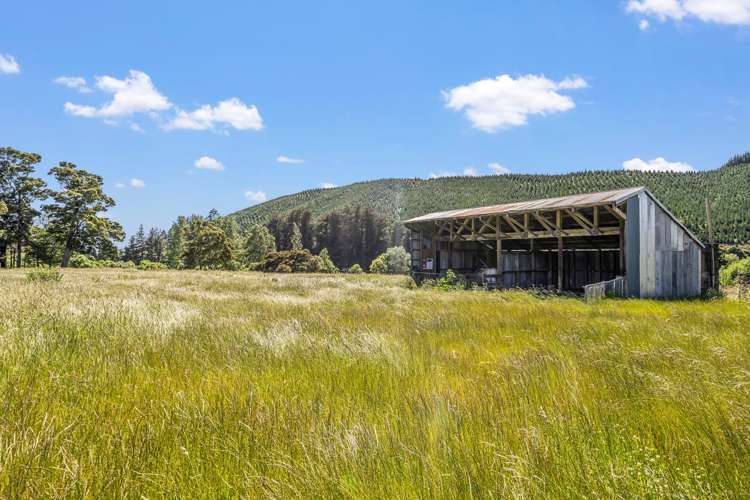 949 Wakefield-Kohatu Highway Wakefield_11