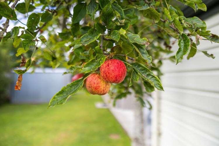 32 Salisbury Avenue Wanganui East_23