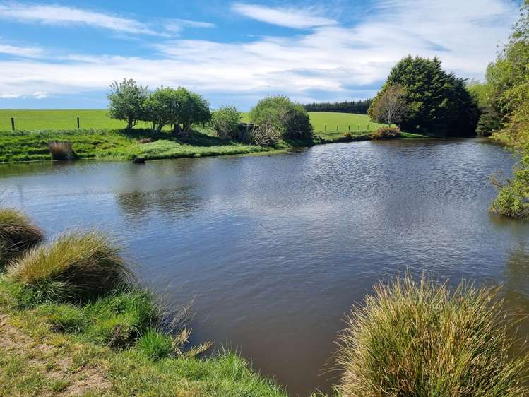 199 Moa Hill Road Clinton and Surrounds_10