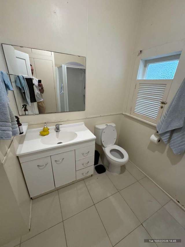 14 Martin Avenue Mt Albert_4