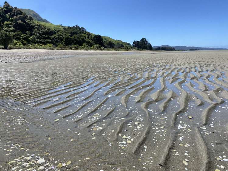 3 Totara Avenue Collingwood_10