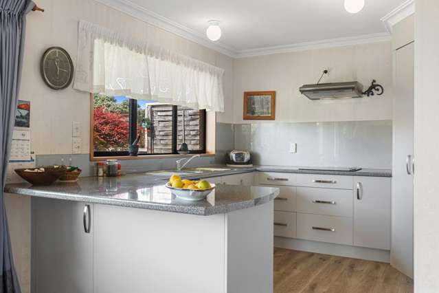 3a Ninth Avenue Tauranga Central_4