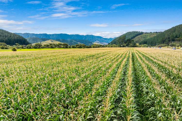 State Highway 1 Koromiko_2