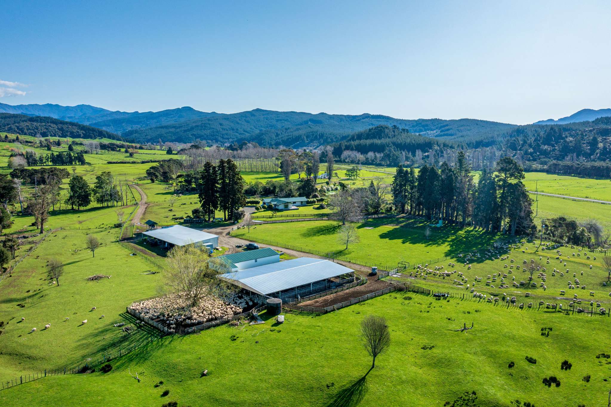 Pair of substantial East Coast sheep and beef farms placed on the market for sale