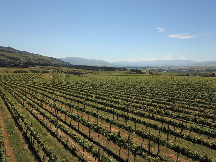 Luggate-Cromwell Road Queensberry_10