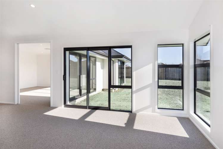 31 Nikau Drive Redwoodtown_15