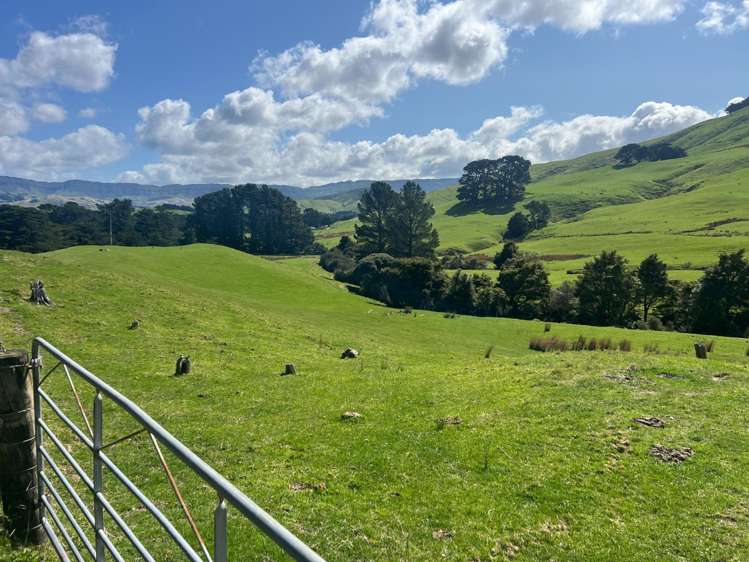 463 Waihi Valley Rd Dannevirke_11