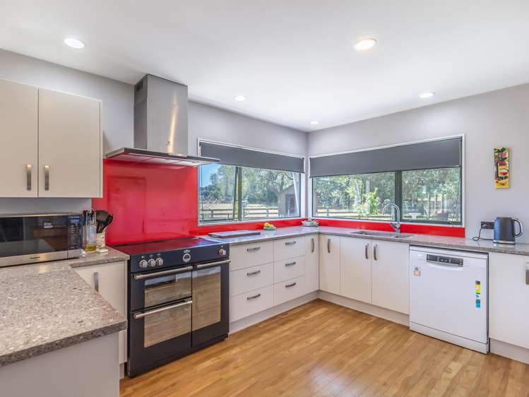 59 Avenue North Road Levin_1