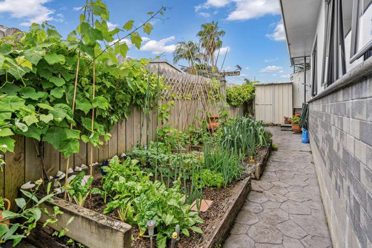 73a Raurimu Avenue Onerahi_13