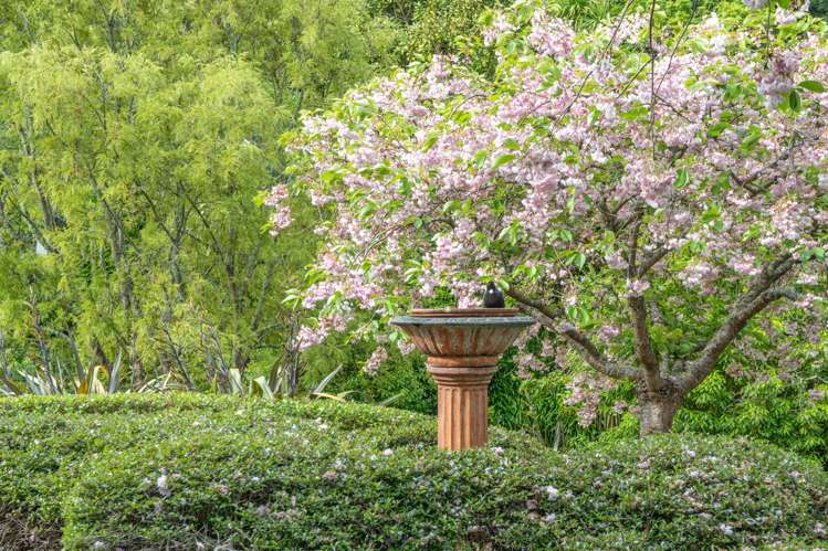 51 Greenwood Road Havelock North_24