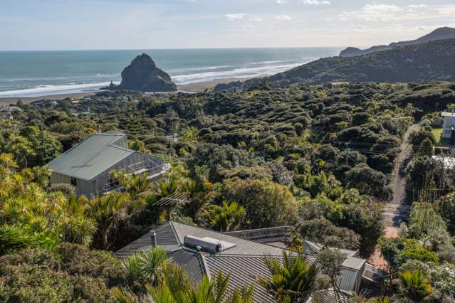 119 Seaview Road Piha_1