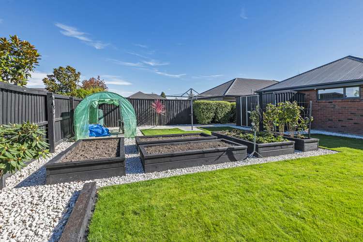 25 Navy Loop Rolleston_25