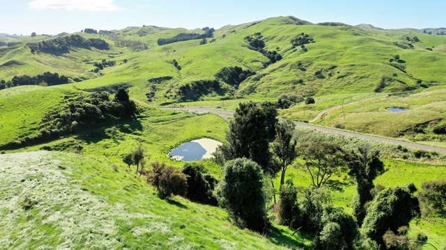 1793 Te Uri Road Rangitikei Surrounds_1
